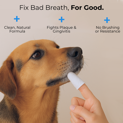 GumGlow™ Finger Wipes for Dog & Cat Dental Care