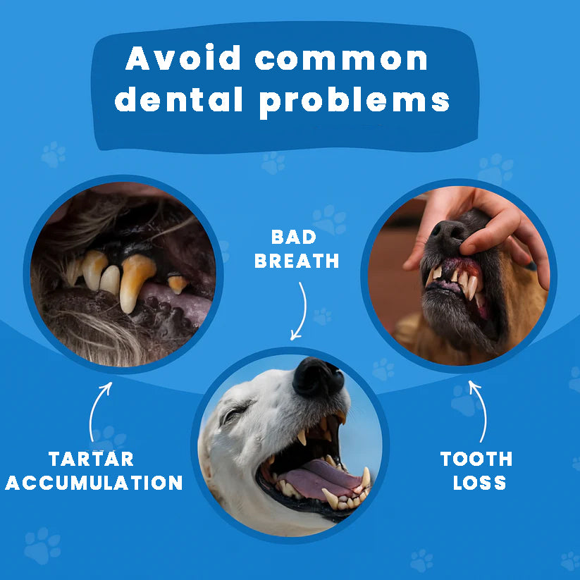 GumGlow™ Finger Wipes for Dog & Cat Dental Care